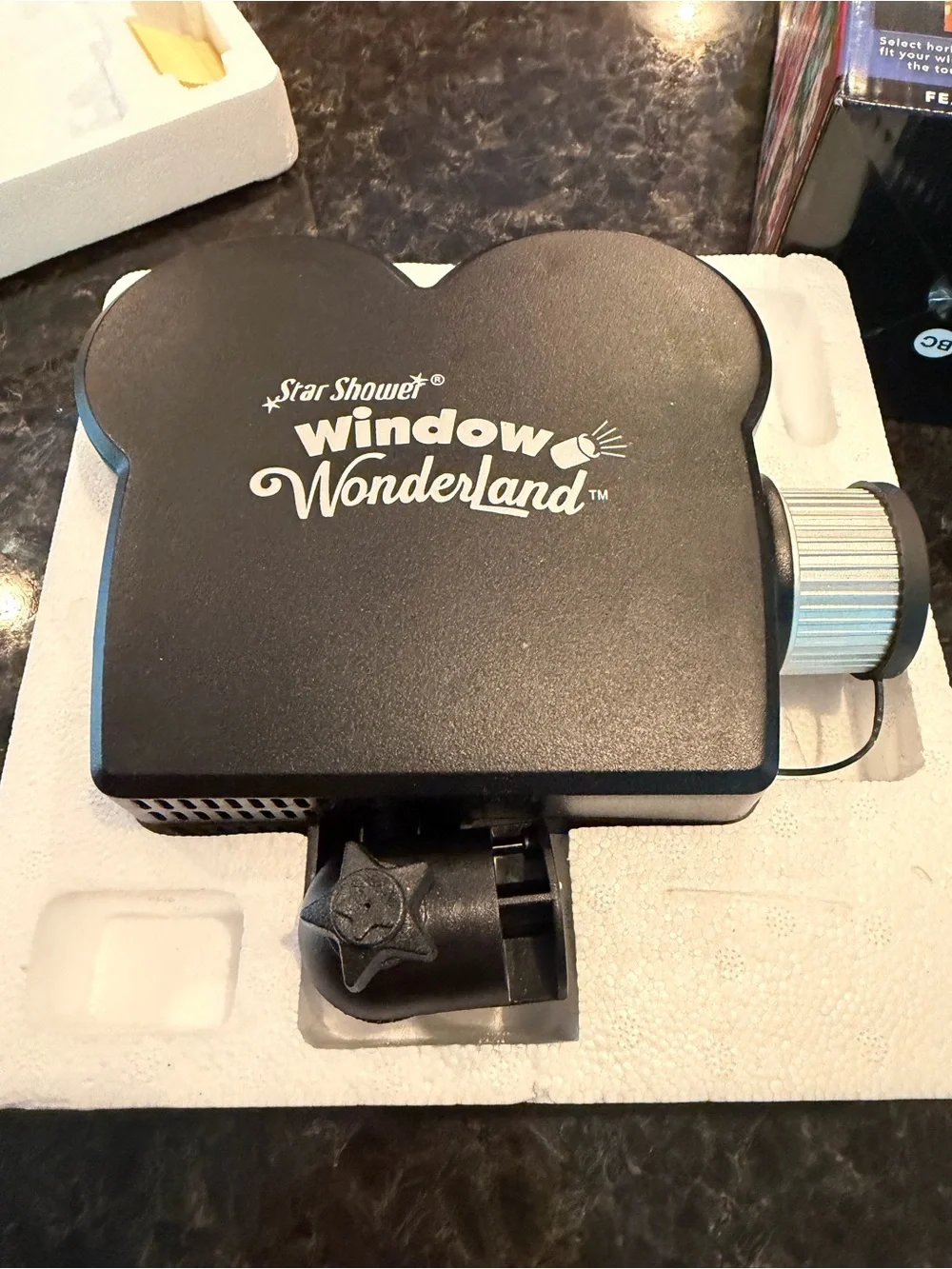 Star Shower Window Wonderland Holiday Projector in Black